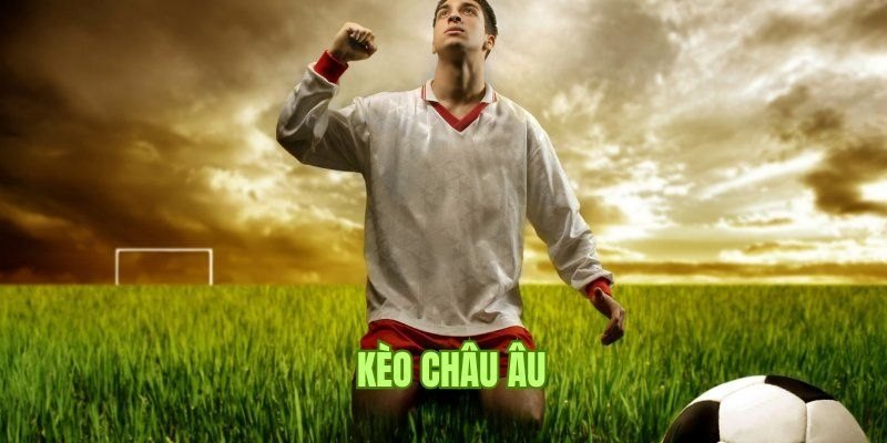 Khái quát về kèo chấu Âu