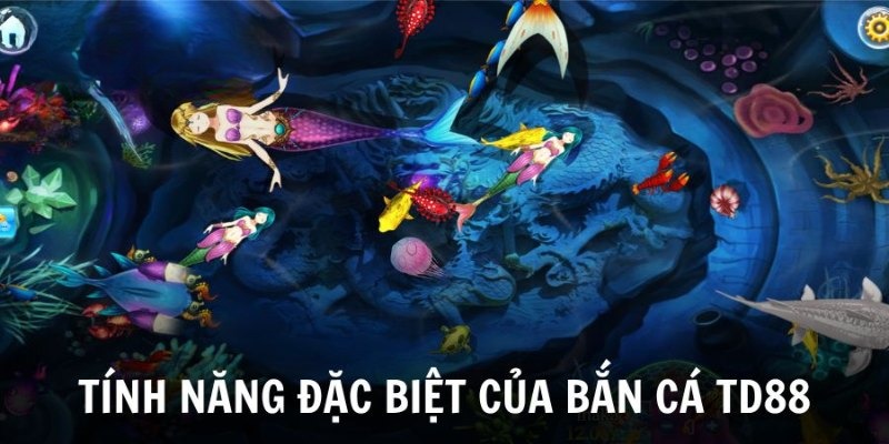 Sinh vật biển đa dạng tạo nên sức hút lớn