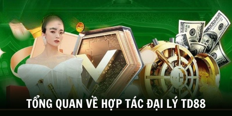 Tìm hiểu chi tiết về đại lý TD88