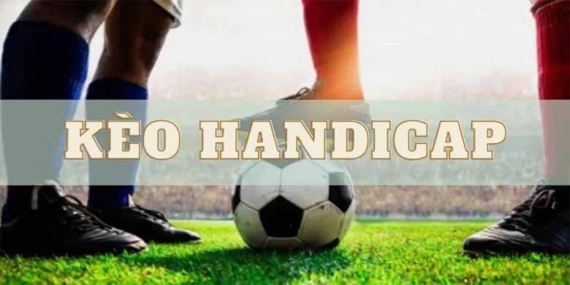 Tổng hợp 3 loại phổ biến ở handicap