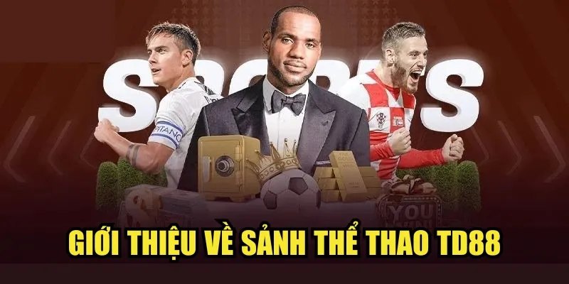 Tổng quan chung về sảnh thể thao TD88