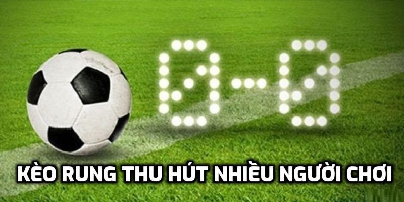 Giới thiệu sơ lược về mẹo chơi kèo rung tại TD88