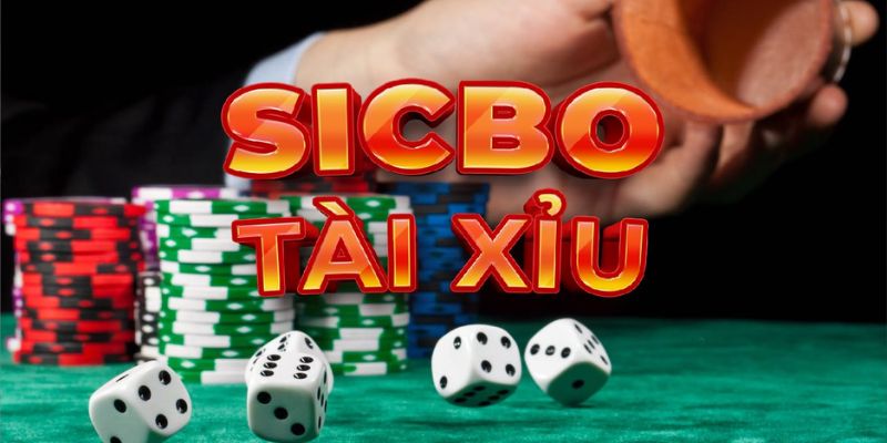 Bí kíp soi cầu tài xỉu
